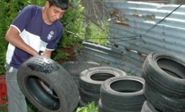 A prop&oacute;sito del Dengue.
