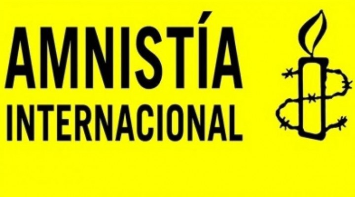 Amnist&iacute;a Internacional sobre los trolls en Argentina.