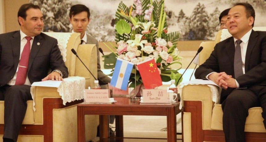 &iquest;Podr&aacute; el gobernador hacer cumplir los acuerdos de cooperaci&oacute;n con China para que nos ayuden ante la pandemia?.