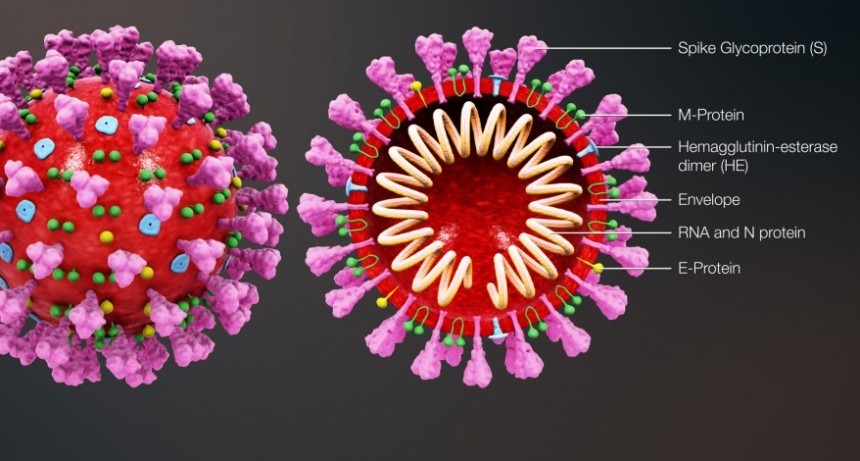 La tecnolog&iacute;a y su aporte frente al Coronavirus. 
