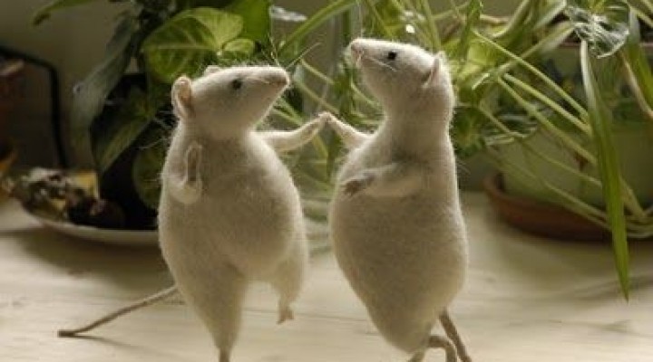 Ratones fumones. 