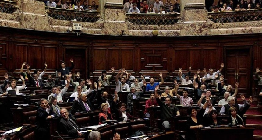 El derecho a la voz de las gradas.