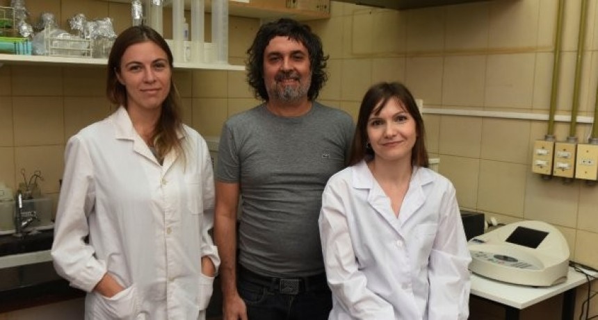 Rosarinos consiguen importantes avances contra los c&aacute;nceres de h&iacute;gado m&aacute;s letales