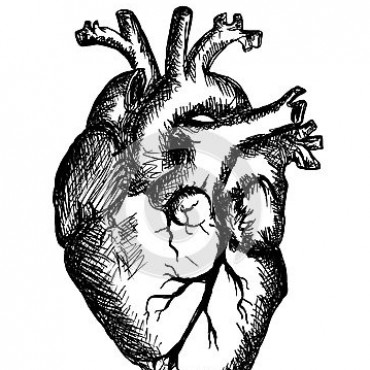 Cardioversi&oacute;n para la d?&ldquo;mo-krat&iacute;a aldeana.