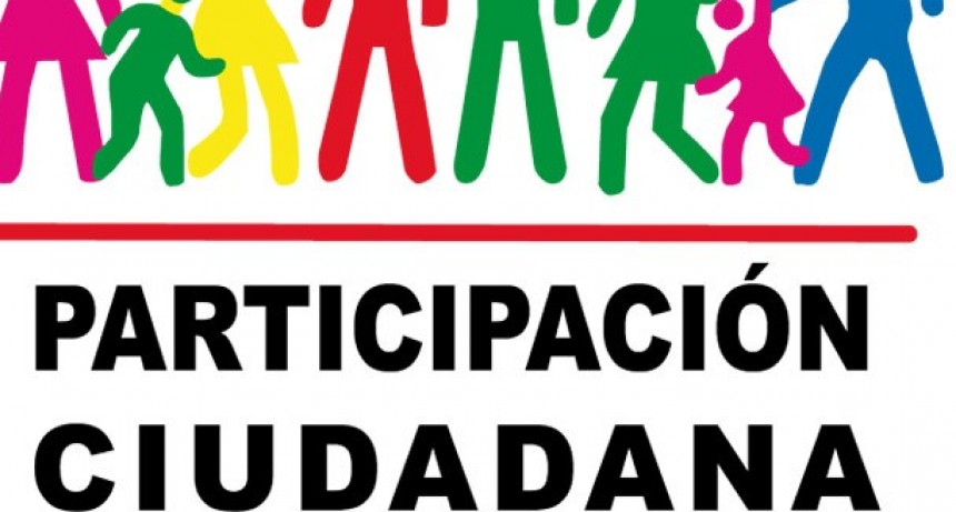 Proyecto de creaci&oacute;n del consejo de la participaci&oacute;n ciudadana correntina.  