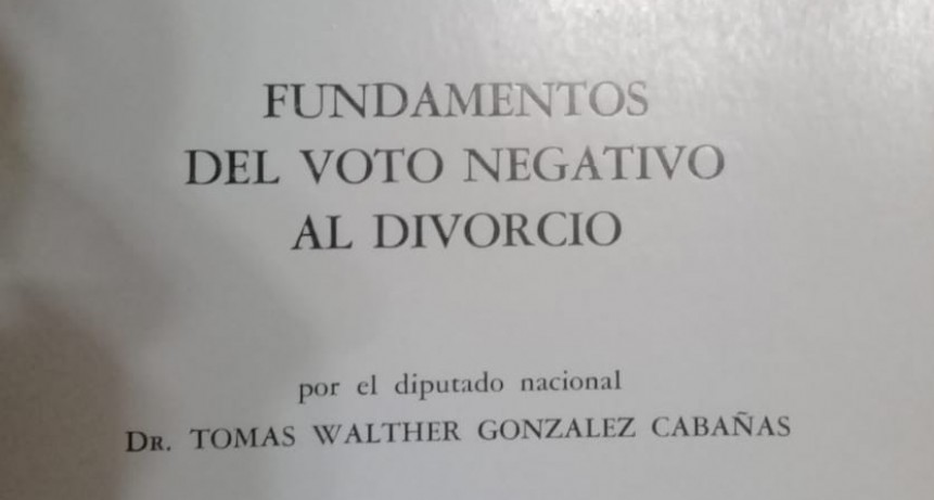 &ldquo;Es ambivalente y difusa la posici&oacute;n de Vald&eacute;s con respecto al aborto&rdquo;.
