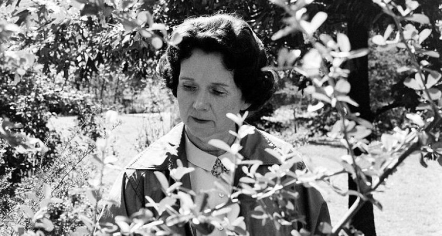 Sesenta a&ntilde;os del &ldquo;Primavera silenciosa&rdquo; de Rachel Carson  