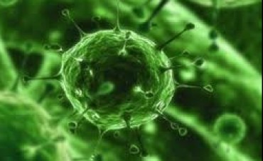 El virus que sustenta el poder de lo democr&aacute;tico.
