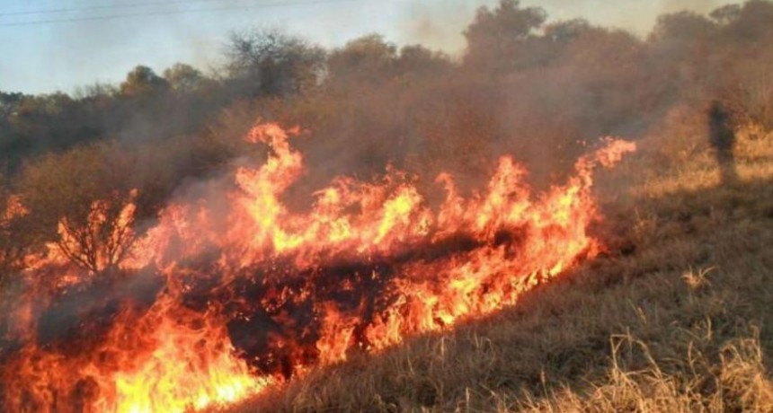 Incendios forestales: un combo peligroso que se repite