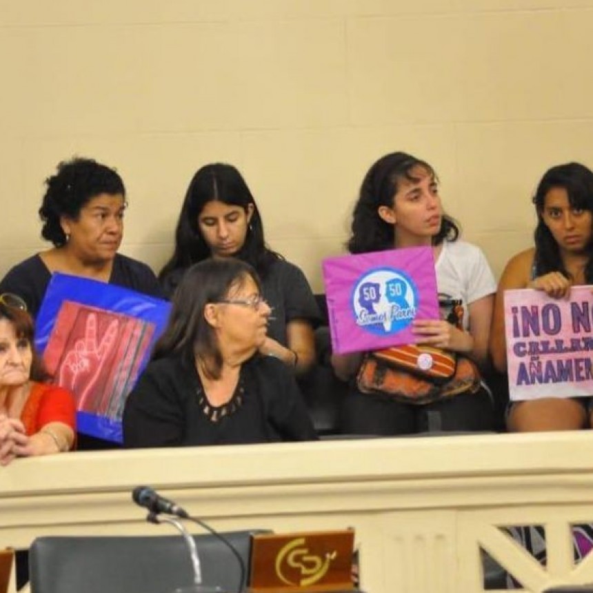 La mujer radical m&aacute;s considerada, pol&iacute;ticamente, que la mujer peronista.