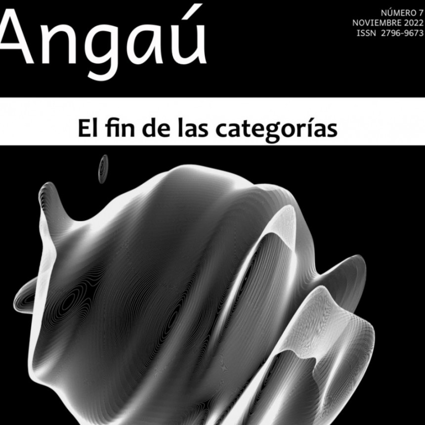 El giro categorial. &iquest;El fin de las categor&iacute;as? S&eacute;ptimo n&uacute;mero de la revista "Anga&uacute;". 